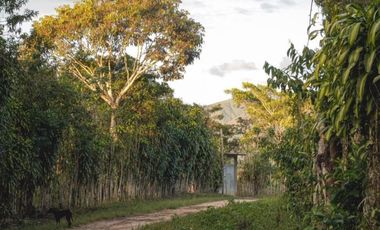 Vendo Terreno De 9 Hectáreas Con 444M2 En El Mismo Moyobamba