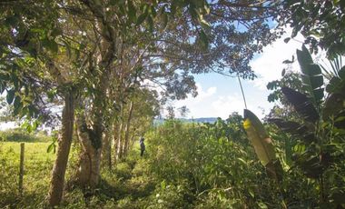 Vendo Terreno De 9 Hectáreas Con 444M2 En El Mismo Moyobamba