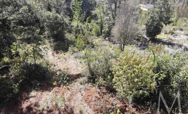 Hermosa parcela en sector Piedra Blanca