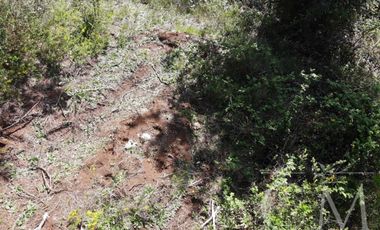 Hermosa parcela en sector Piedra Blanca