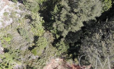 Hermosa parcela en sector Piedra Blanca