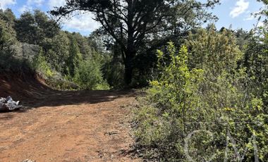 Hermosa parcela en sector Piedra Blanca