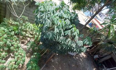 En el Sector La Primavera 1 Se Vende Casa Rentera con 2 locales comerciales y Departamentos