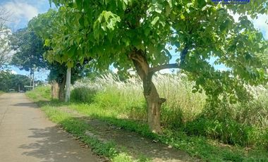 HOUSE AND LOT FOR SALE IN ANGONO RIZAL