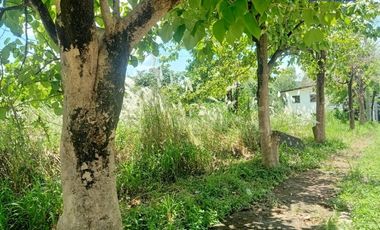 HOUSE AND LOT FOR SALE IN ANGONO RIZAL