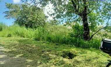HOUSE AND LOT FOR SALE IN ANGONO RIZAL