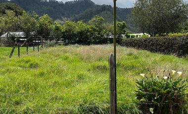 LOTE CAMPESTRE