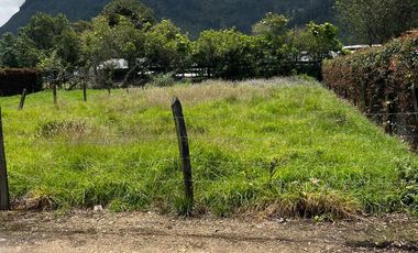 LOTE CAMPESTRE
