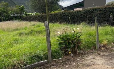 LOTE CAMPESTRE