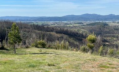 Parcelación en venta San Juana, preciosas parcelas en venta Diñico
