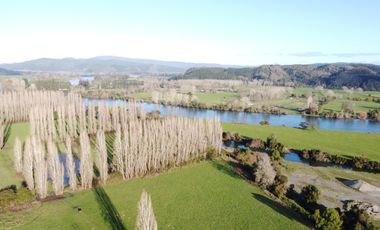 Fundo con Casa Sector Pishuinco Valdivia