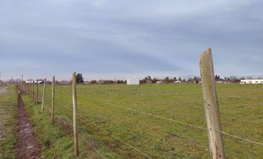 Vende Parcelas Km 12 a Coihueco (Sector El Maiten)