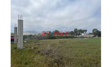 Venta De Terreno Agricola Km 87.5 Pan.Sur 1921M2 Bujama
