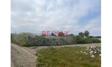 Venta De Terreno Agricola Km 87.5 Pan.Sur 1921M2 Bujama