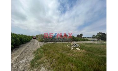 Venta De Terreno Agricola Km 87.5 Pan.Sur 1921M2 Bujama