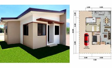 House and Lot for Sale in Palinpinon, Valencia
