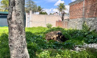 SE VENDE TERRENO EN TEPOZOTLAN