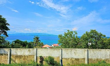 SIBULAN OVERLOOKING HOUSE FOR SALE
