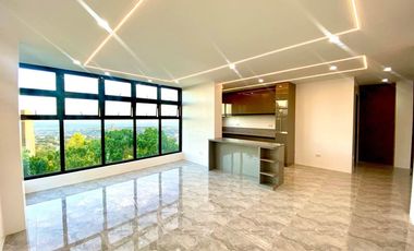 Brandnew House & Lot with Plunge Pool for RENT & SALE in Vista Grande, Talisay City, Cebu