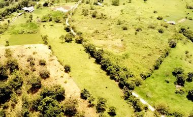 HACIENDA GANADERA EN VENTA - ARBELÁEZ, CUNDINAMARCA