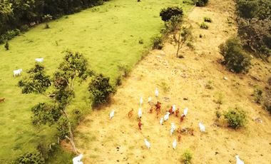 HACIENDA GANADERA EN VENTA - ARBELÁEZ, CUNDINAMARCA