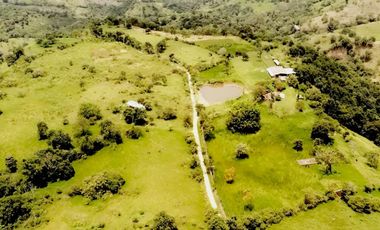 HACIENDA GANADERA EN VENTA - ARBELÁEZ, CUNDINAMARCA