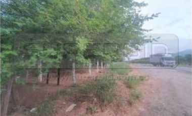 TERRENOS BOCATOCINO: MORRO DE ZAMBA, BOCA LA BARRA Y LA LUCHA DE 620000 M2 UBIC.: JUAN DE ACOSTA - ATLÁNTICO