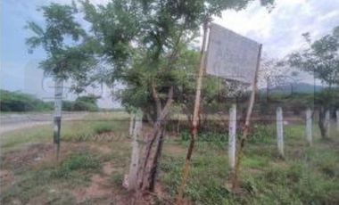 TERRENOS BOCATOCINO: MORRO DE ZAMBA, BOCA LA BARRA Y LA LUCHA DE 620000 M2 UBIC.: JUAN DE ACOSTA - ATLÁNTICO