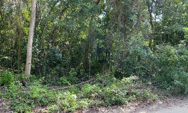 Terreno En Cancún Fraccionamiento Bosques Del Caribe