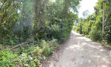 Terreno En Cancún Fraccionamiento Bosques Del Caribe