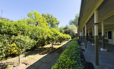Colegio, local o terreno en venta en Chiguayante