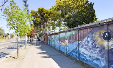 Colegio, local o terreno en venta en Chiguayante