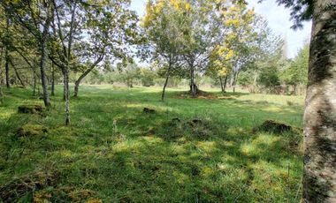 Loteo Orilla Río Sector Antilhue