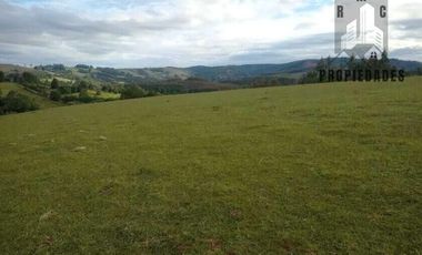 CAMPO AGRICOLA GANADERO DE 53,44 HECTAREAS A 12 KMS DE PAILLACO
