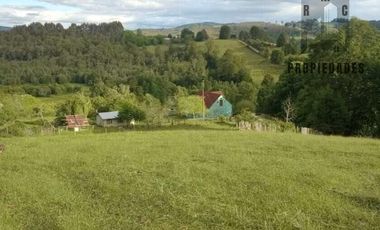 CAMPO AGRICOLA GANADERO DE 53,44 HECTAREAS A 12 KMS DE PAILLACO
