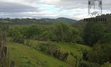 CAMPO AGRICOLA GANADERO DE 53,44 HECTAREAS A 12 KMS DE PAILLACO