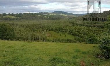 CAMPO AGRICOLA GANADERO DE 53,44 HECTAREAS A 12 KMS DE PAILLACO