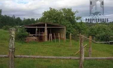 CAMPO AGRICOLA GANADERO DE 53,44 HECTAREAS A 12 KMS DE PAILLACO