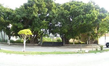 Terreno en renta ubicado en Av. Castellot en Ciudad del Carmen.