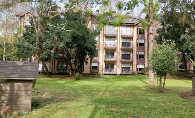 PUCON, DICIEMBRE 2024 ATRACTIVAS OFERTAS VENTA DE DEPARTAMENTOS