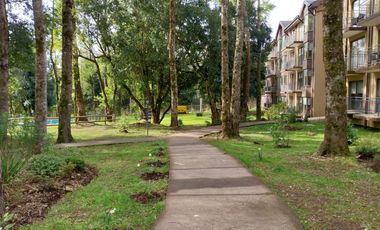 PUCON, DICIEMBRE 2024 ATRACTIVAS OFERTAS VENTA DE DEPARTAMENTOS