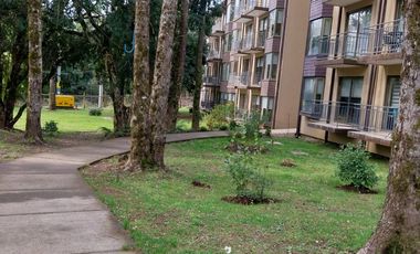 PUCON, DICIEMBRE 2024 ATRACTIVAS OFERTAS VENTA DE DEPARTAMENTOS