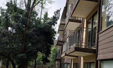 PUCON, DICIEMBRE 2024 ATRACTIVAS OFERTAS VENTA DE DEPARTAMENTOS