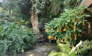CASA EN VENTA EN CUERNAVACA, CASA CON HISTORIA, EN ACAPANTZINGO