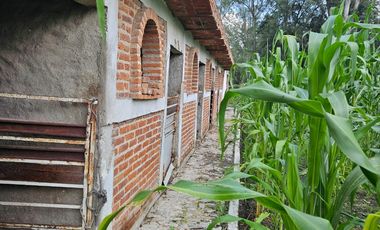 Terreno en Venta en La Calerita