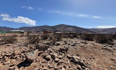 Se vende terreno 5000 m2 sector Puerta del Sol, Quilacan la Serena