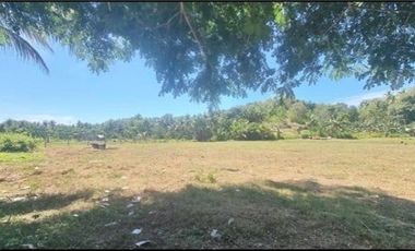 Lot for Sale in San Jose Catadman, Poblacion Carmen Cebu