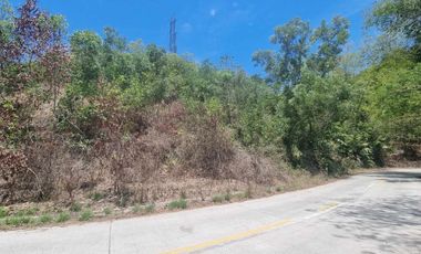 Lot for Sale in Cambatete Catmon Cebu