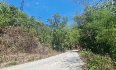 Lot for Sale in Cambatete Catmon Cebu