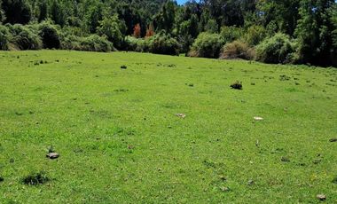 CAMPO AGRÍCOLA GANADERO EN LA COMUNA DE FUTRONO